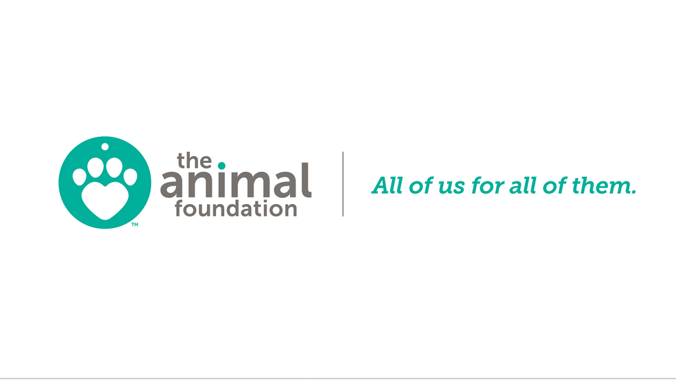 The Animal Foundation announces 20 adoption fee for dogs 30 lbs and