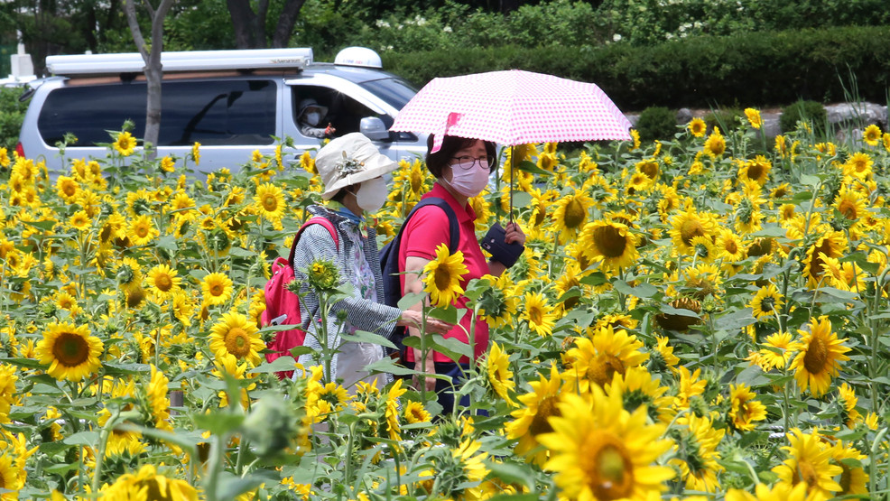 Virus Outbreak South Korea Daily Life AP20197291611476.jpg