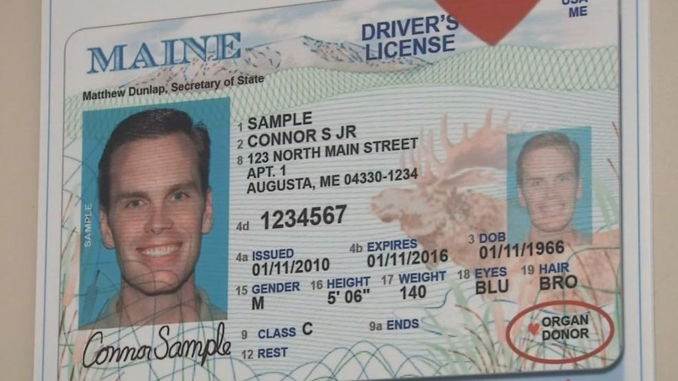 Maine To Offer Non Binary Gender Option On Licenses Ids Wlos