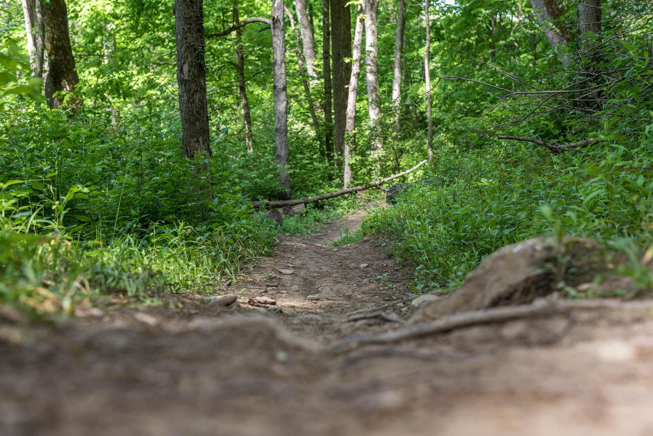 devou park mtb trails