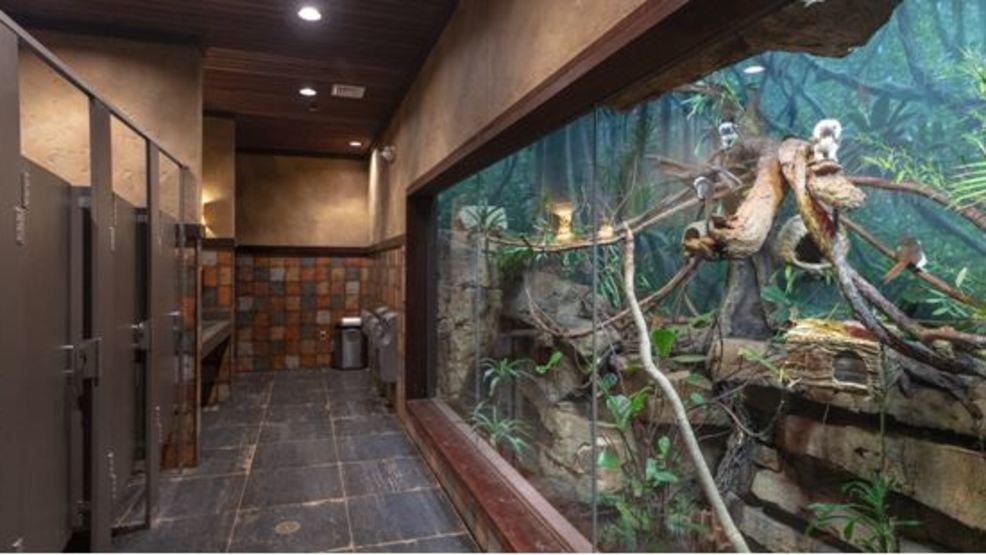Nashville Zoo wins contest for America's Best Restrooms | WZTV