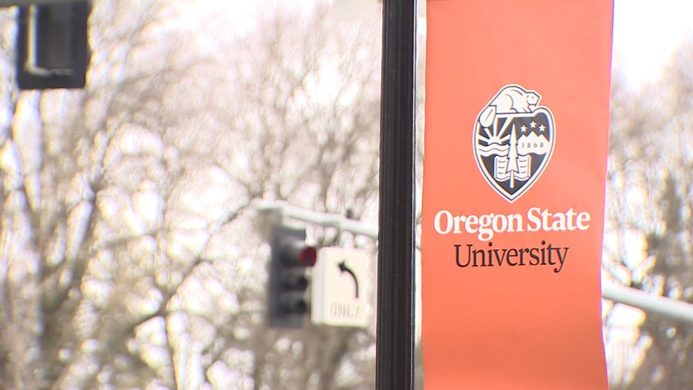 Aclu Questions New Osu Policy Requiring Students To Disclose Past