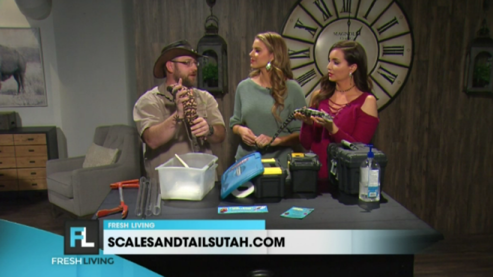 Scales and Tails Utah KUTV