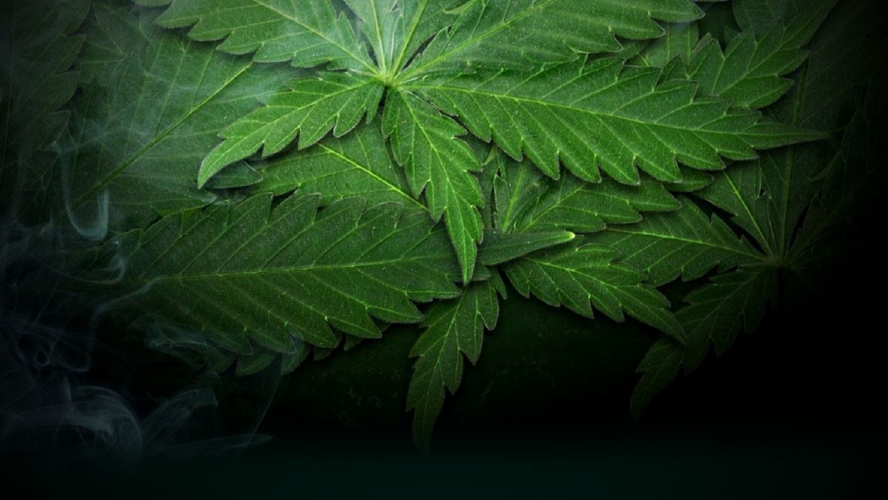 Thousands attend marijuana rally at University of Michigan