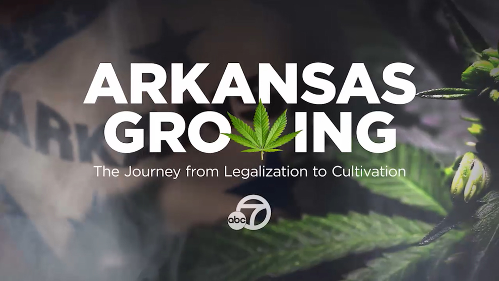 Arkansas Growing The Journey From Legalization To Cultivation Katv