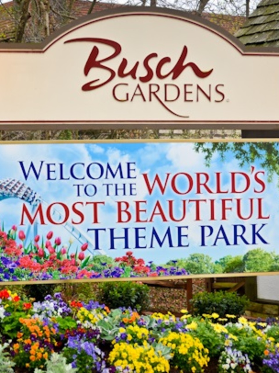 Busch Gardens Offering 50 Percent Off Tickets In October Wset