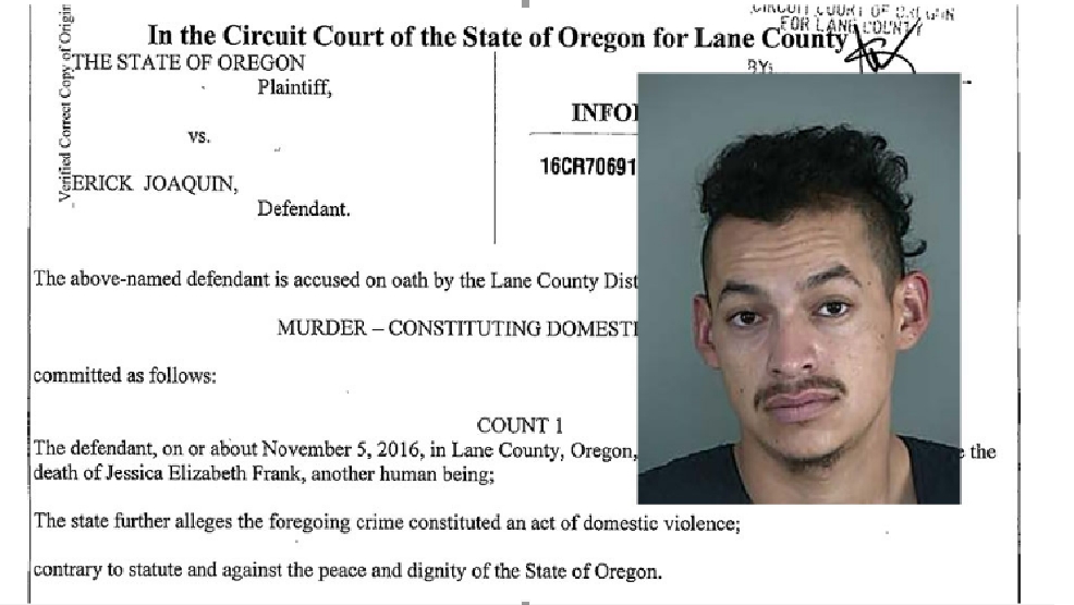 Man Charged with "Murder Constituting Domestic Violence" what does