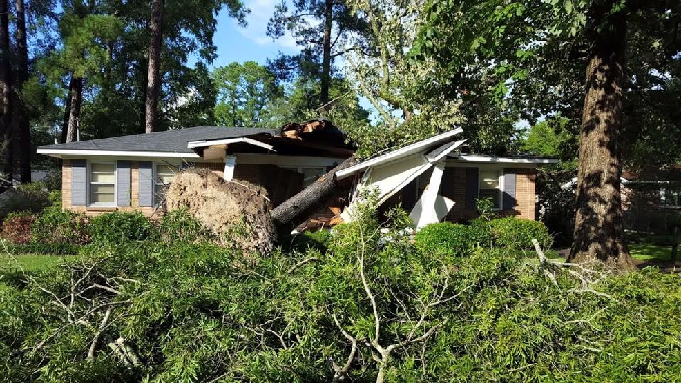 PHOTOS Storm damage in Gadsden WBMA