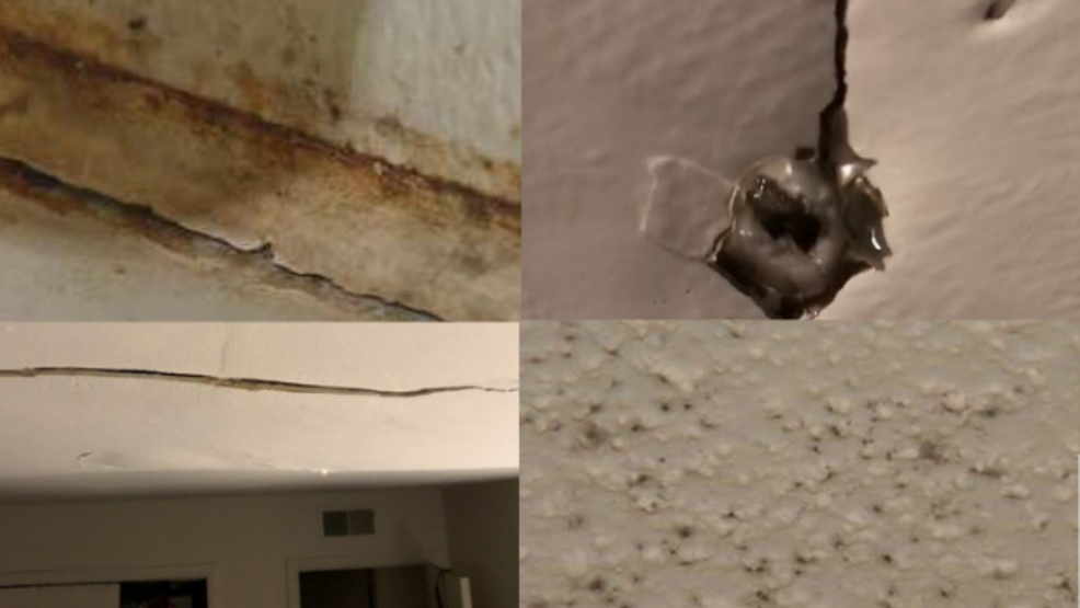 Apartment Dwellers Worry About Mold Leaky Ceilings New