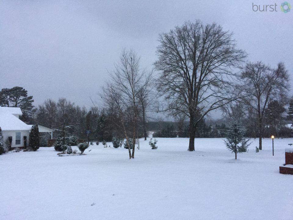 GALLERY Winter weather in Arkansas KATV