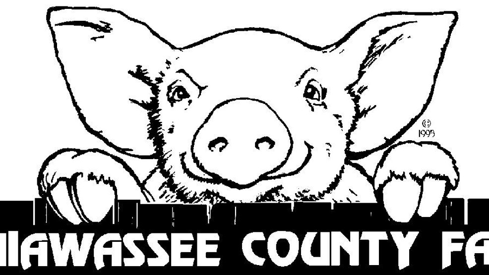The 2020 Shiawassee County Fair has been canceled due to coronavirus - nbc25news.com