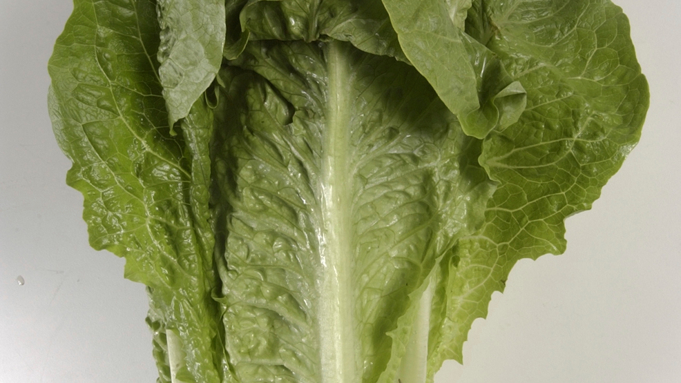 Romaine lettuce outbreak update 98 people sick in 22 states KMTR