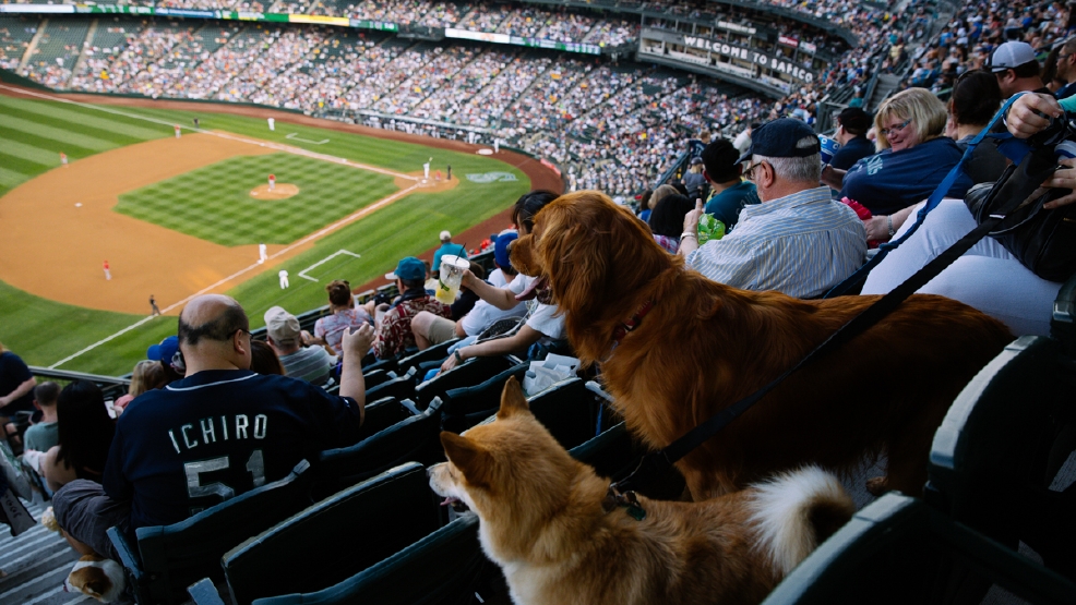 The best nights to look forward to this Mariners season Seattle Refined