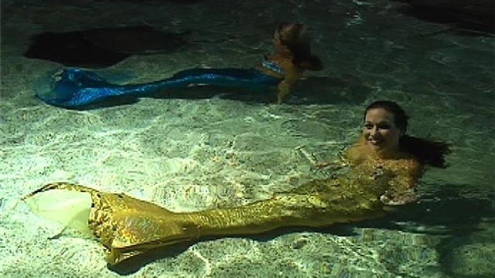 Mermaid show visits Ripley's Aquarium WPDE