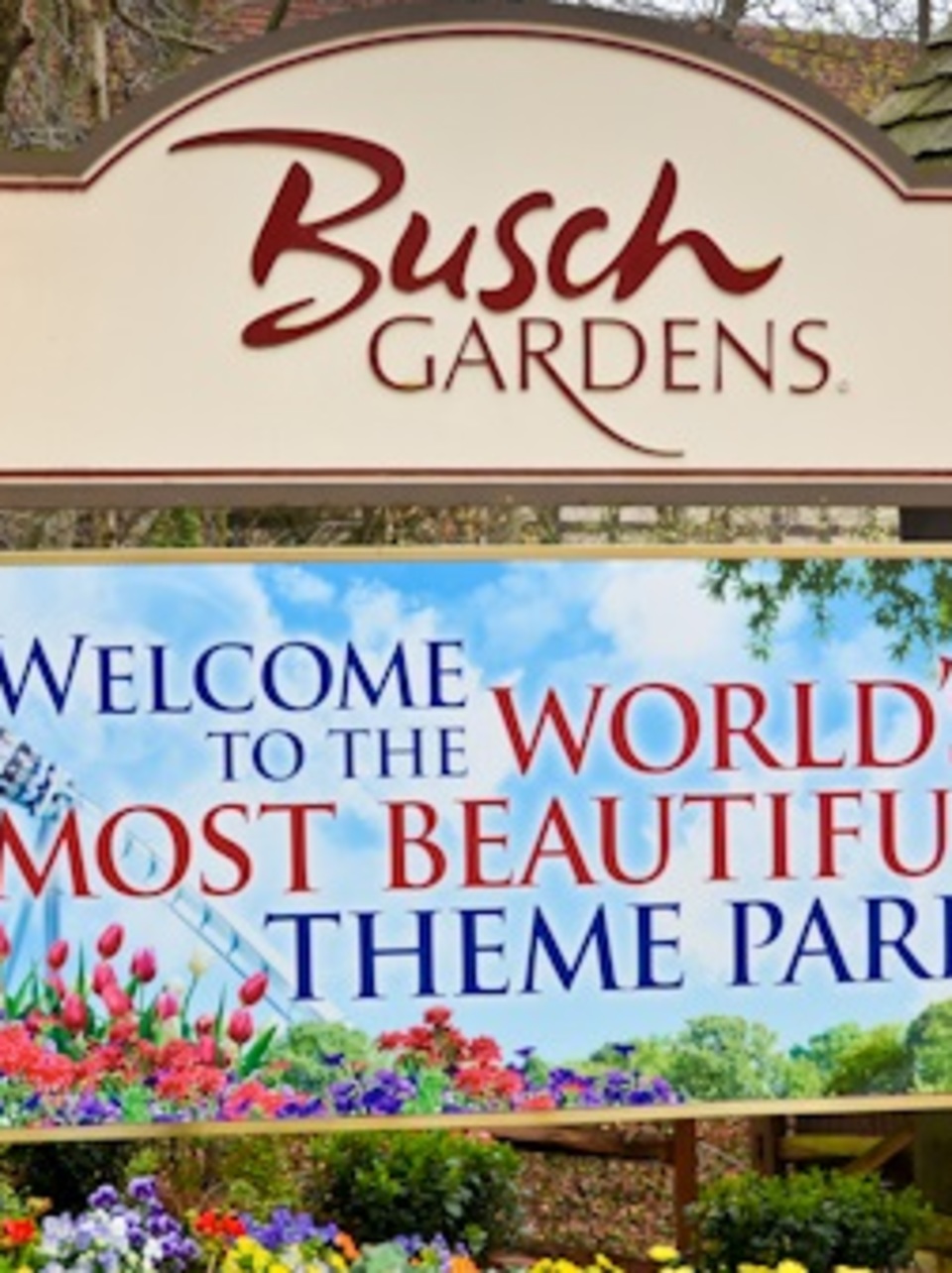 Busch Gardens Offering Free Admission To Kids Under 9 Wset