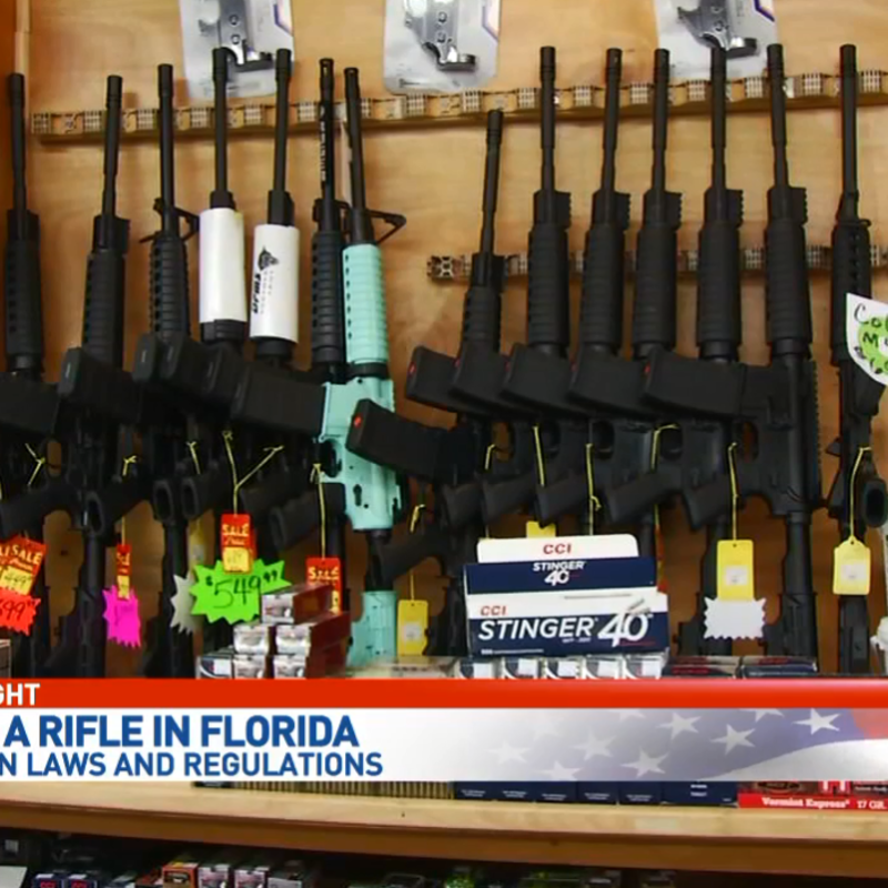 Rifle Rundown Buying An Ar 15 In Florida Ktul