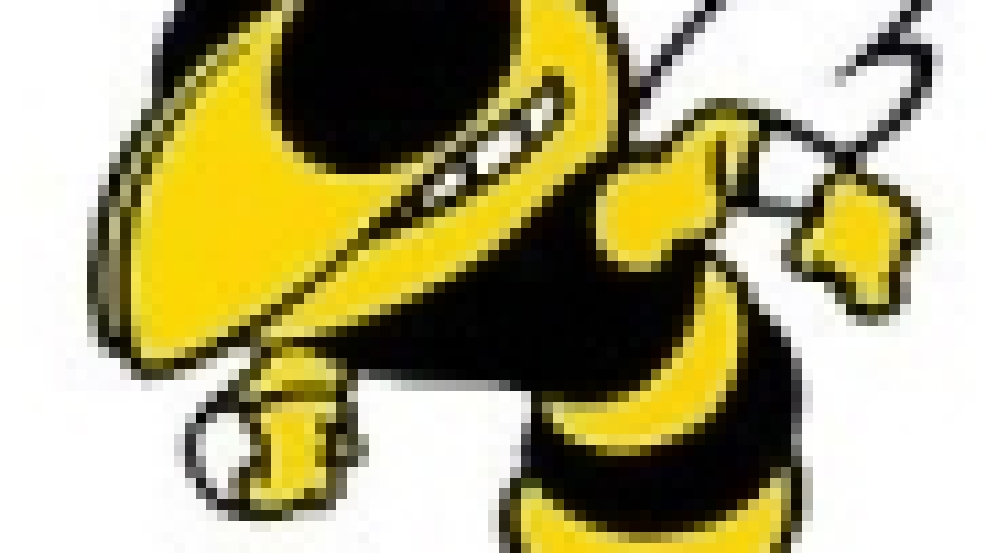 St.%20Elizabeth%20hornets.png