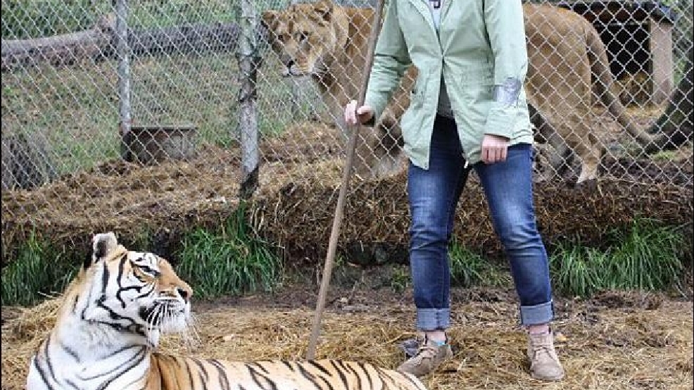 130306_lion2.jpg_BIM.jpg