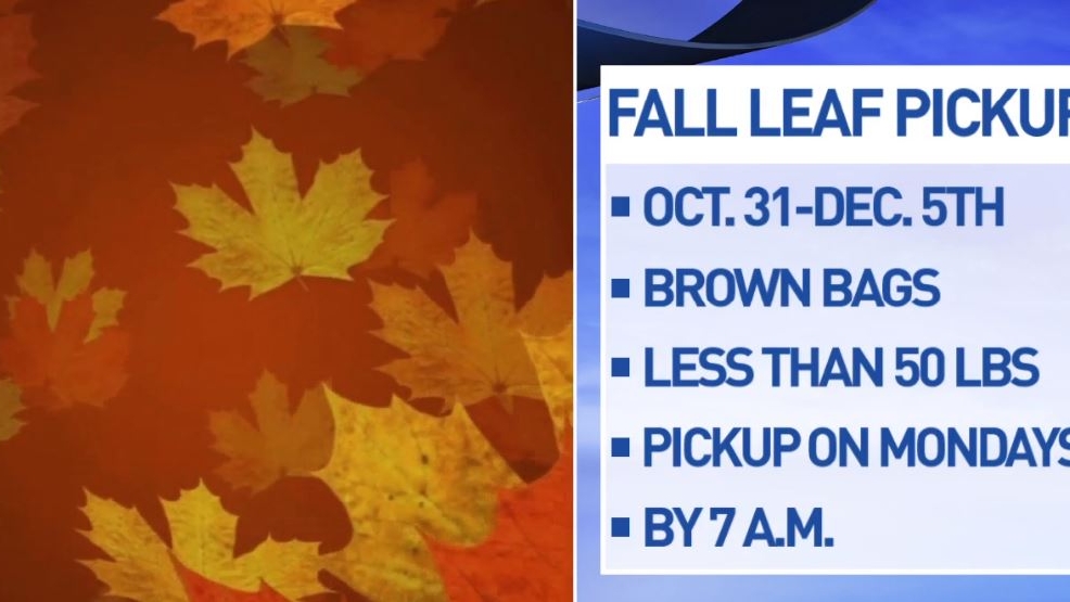 Springfield Leaf Pick Up Dates WICS
