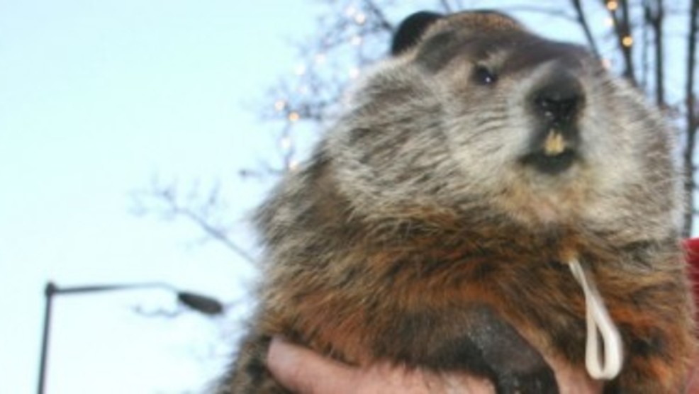 Jimmy the Groundhog predicts six more weeks of winter, Punxutawny Phil