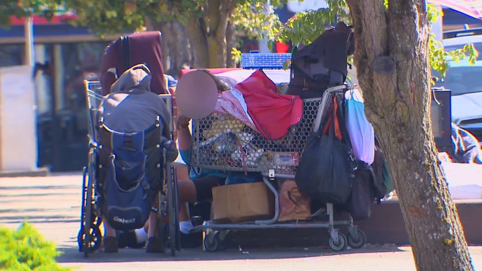 Seattle Business Owners Fed Up With Homeless Woman Pooping On Their 