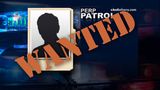 Perp Patrol: Wanted 2018