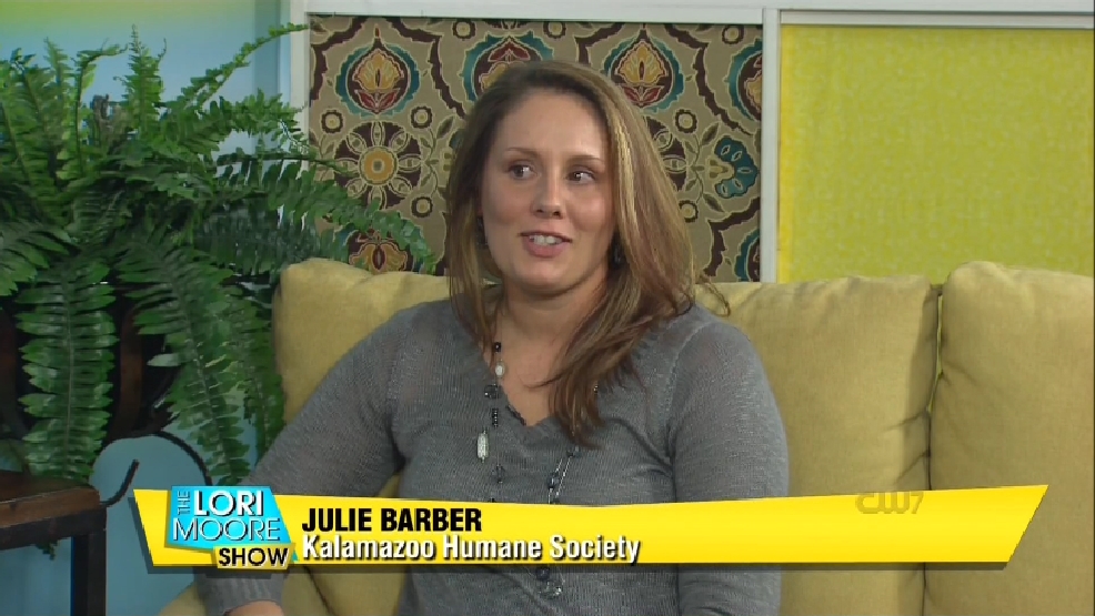 03/01/17- Julie Barber, Kalamazoo Humane Society | WWMT