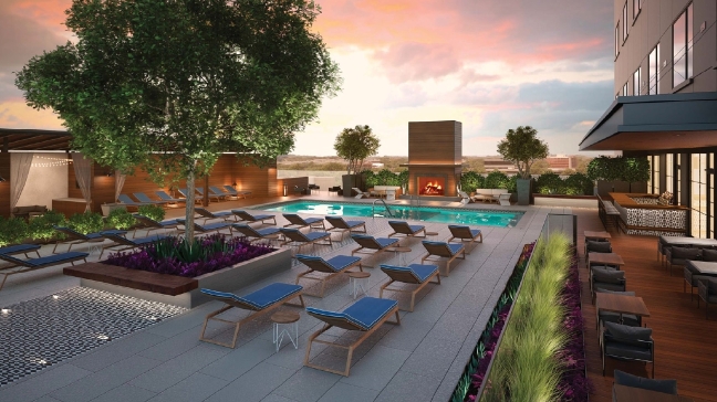 Pet-Friendly Hotels for Summer Travel